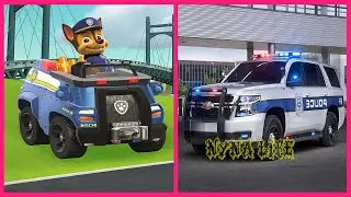Paw Patrol Vehicles In Real Life 👉 