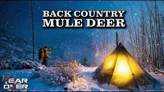 Backcountry Rifle Mule Deer Hunt | 4K FILM