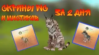 Скрины того что я получил из сундуков за 2 дня в Wild Craft