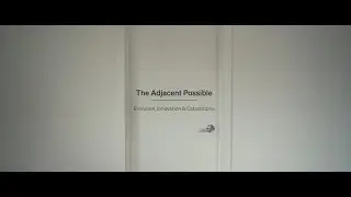 The Adjacent Possible: Evolution, Innovation, and Catastrophe