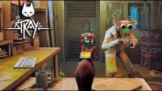 Мучаем котика ➤STRAY #4
