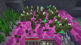 Sea Pickles guide, how to get many of them and create even more with bone meal - Minecraft 1.21