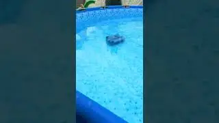 Intex auto cleaner Poolsauger an bestway pool anschließen Steel Pro Max
