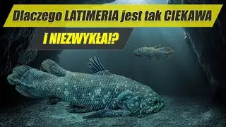 LATIMERIA – skamieniałość która nie wyginęła! - najdziwniejsze zwierzęta świata #8