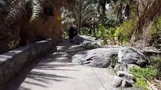 Nizwa Oman  - Video Walk to Nizwa
