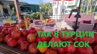 Так в Турции делают свежевыжатый апельсиновый и гранатовый  сок/ Турция осенью