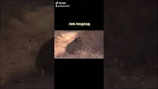 Человек охота