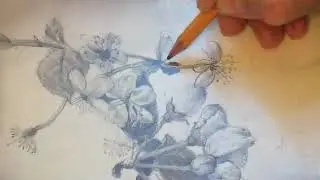 30  ЦВЕТЫ ВИШНИ И ЯБЛОНИ  3 часть