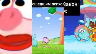 Сборник мудов по Смешарикам (1-3)