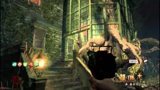 How to get 2 perk for free in call of duty Black ops NEW BURIED MAP