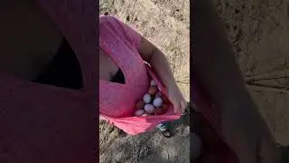 Eggs 🥚