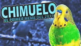 Adios Chimuelo ¿QUE ES? ¿COMO MURI0? - Mejores memes del 2019 - cap 1