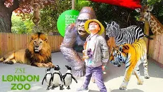 LONDON ZOO Animals, World’s Oldest Scientific Zoo