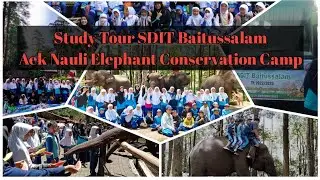 Kunjungan Belajar Rafif dan Teman-Teman SDIT Baitussalam ke Konservasi Gajah di Aek Nauli