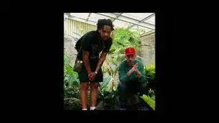 [FREE] Earl Sweatshirt x Alchemist x Roc Marciano Type Beat / "LEARN!