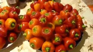 Жареные перцы в масле на зиму закрываем в банки.Grilled peppers in oil for the winter