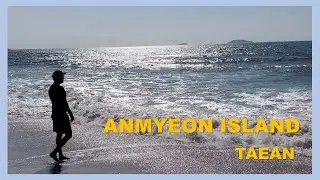 Anmyeon Island｜Taean