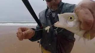 Fishing Parsons beach