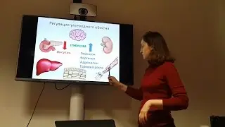 Сахарный диабет – Лейла Созаева