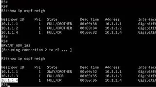 CCNA 200-301 5:00 Video Boot Camp:  OSPF Oddness