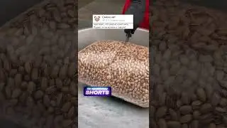 Анекдот про Господа и мужика