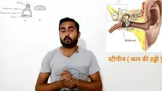 #Short Biology short video