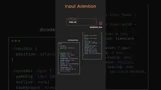 awesome input animation in html css
