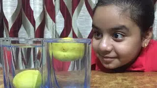 Science Experiment // Learn and have fun // Dead Sea // Archemedes principle //