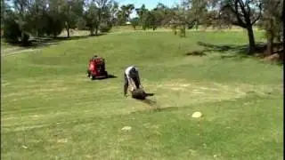 Dingo Australia Turf Cutter