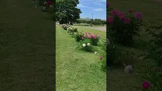Марсово поле
