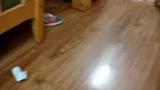 大舊唔著襪