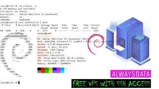 How to Get Free VPS with SSH Access - Alwaysdata