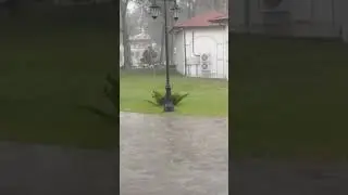 Отправить
