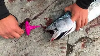 Ikejime, The Freshest Way to Eat Your Fish!