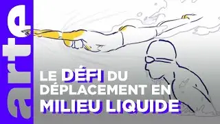 La natation et la trainée | Culture physique | ARTE