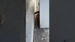 Ja lol ey da hängen die Kabeln raus ausn ka. Kasten ☺️