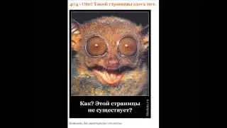 Ошибка 404 страницы