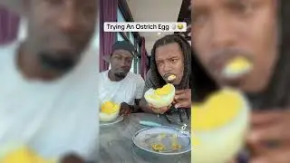 Trying Weird Eggs Compilation Lmao