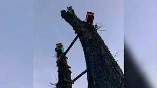 домой - ssshhhiiittt! кавер