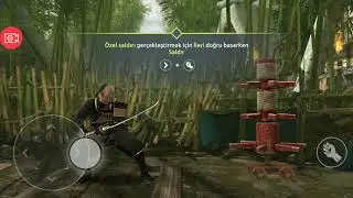 Shadow Fight Arena