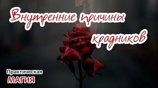 Внутренние причины крадников