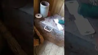 12 октября 2023 г.
