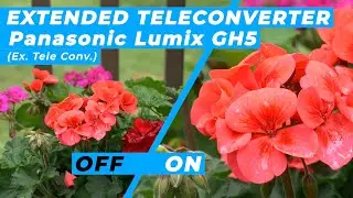 Extended Teleconverter | Panasonic GH5