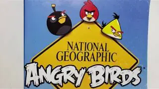 ANGRY BIRDS National Geographic Play Tube TV