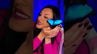 Настоящая, огромная бабочка на стриме 🦋
