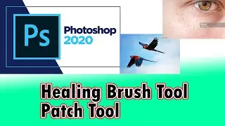 How to Use Healing Brush Tool |Patch Tool| Remove spot in photos | move the object in pictures 2023
