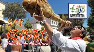 Romería de San Isidro 2018 en Valencia de Alcántara desde dentro