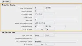 SAP Transportation Management, Локализация для России 2 0