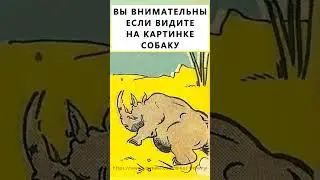 Найдёте на картинке собаку? #тестнавнимательность
