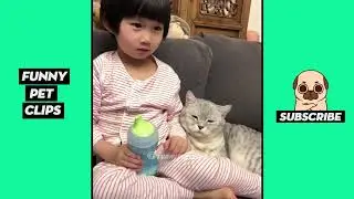 Funny Cute Animals  Tik Tok Pets #2